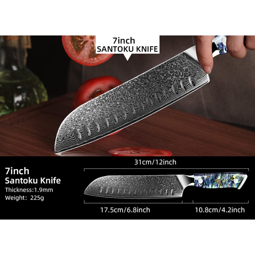 2 Teiliges Luxus Damast Set Awabi - 10 DamastmesserSet