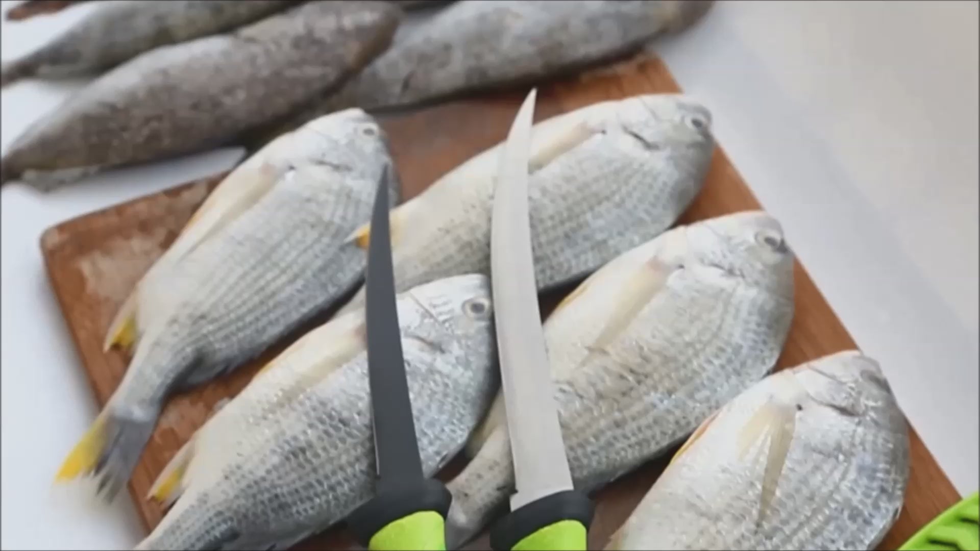 Superflex fillet knife set with sharpener Firenaifu